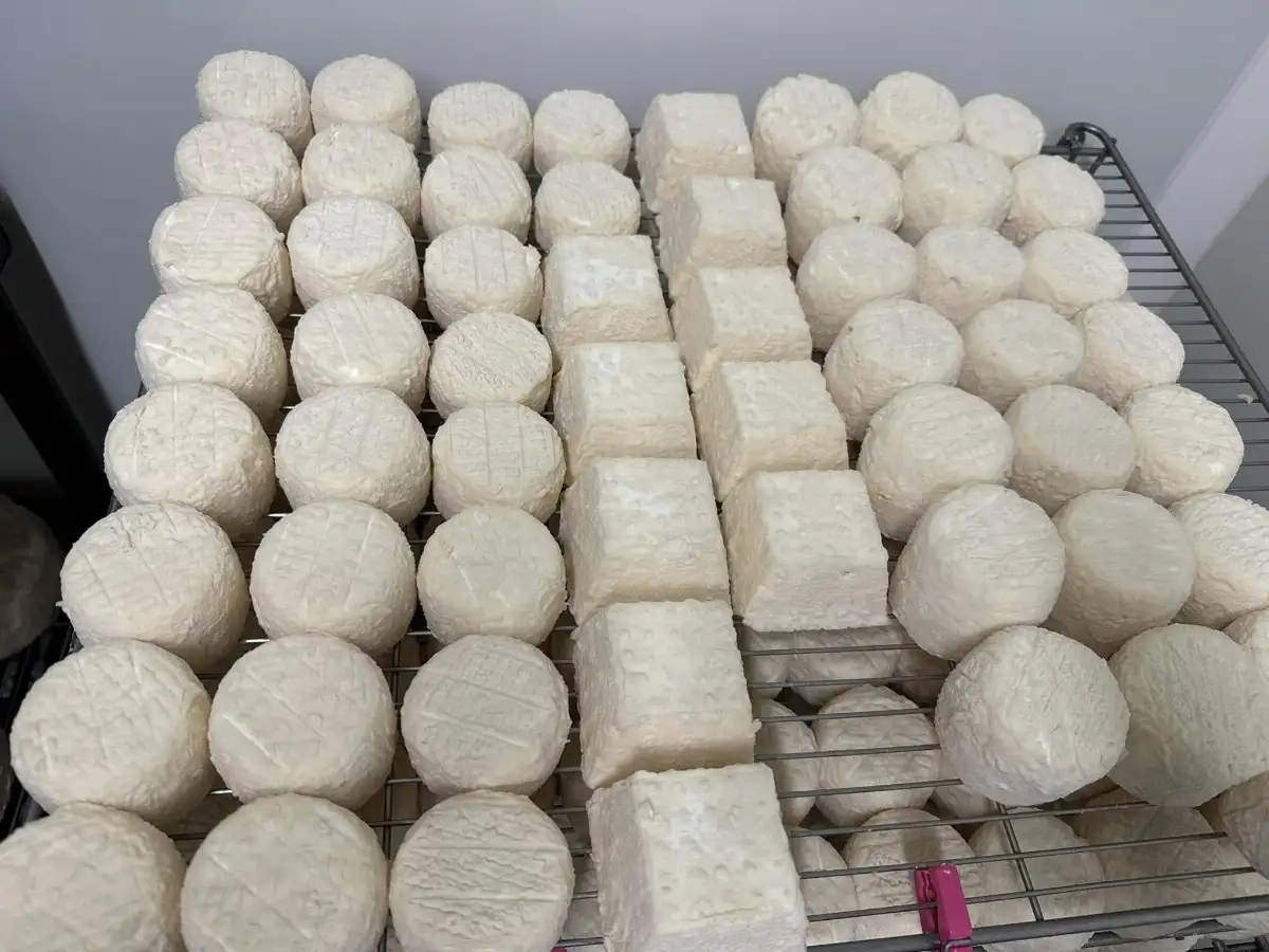 Pyramide de chèvre